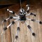 31.5" Gray & Black Hairy Floating Spider Halloween Decoration